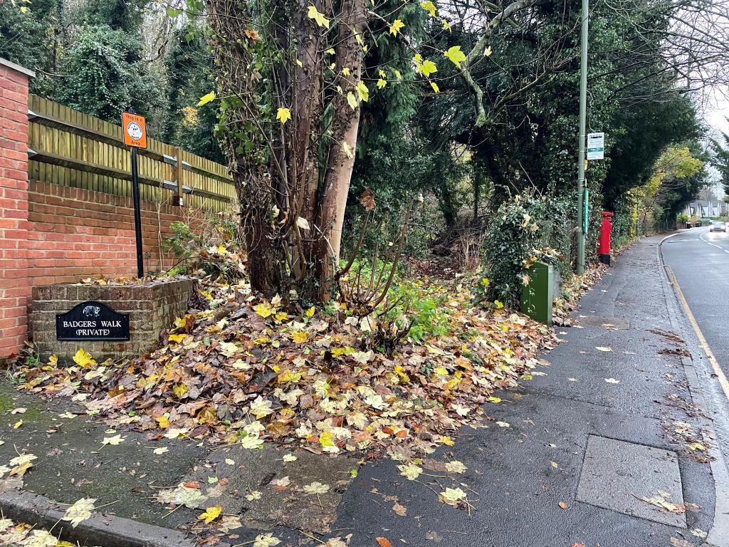Lot: 41 - JUST OVER TWO ACRES OF WOODLAND WITH POTENTIAL - Access to woodland from Whyteleafe Hill